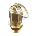 DENCOMP 9 BAR SAFETY VALVE - ECO000148