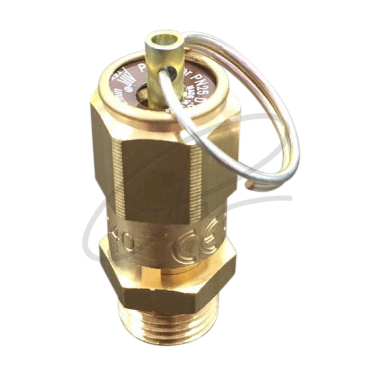 DENCOMP 9 BAR SAFETY VALVE - ECO000148
