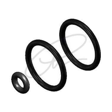 DCI O-RING SET TO FIT W&H ROTO QUICK COUPLING - DCI 4736
