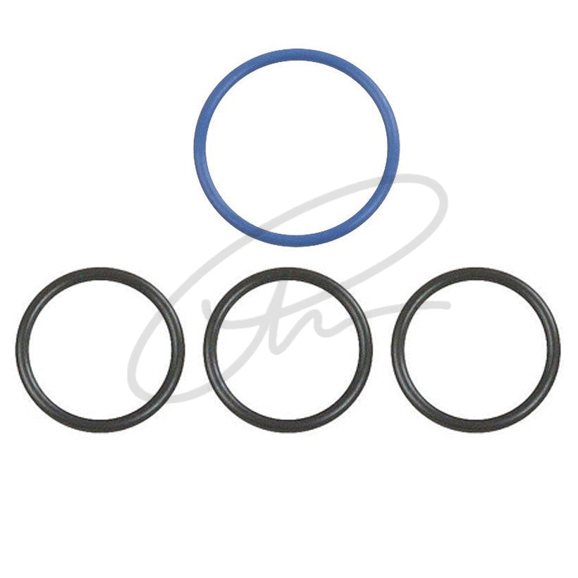NSK O-RING SET FOR MOTORS WITH INTERNAL IRRIGATION - E1135083