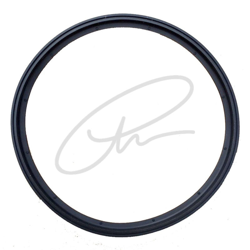 NSK ICLAVE / IMAX DOOR SEAL - DX021206